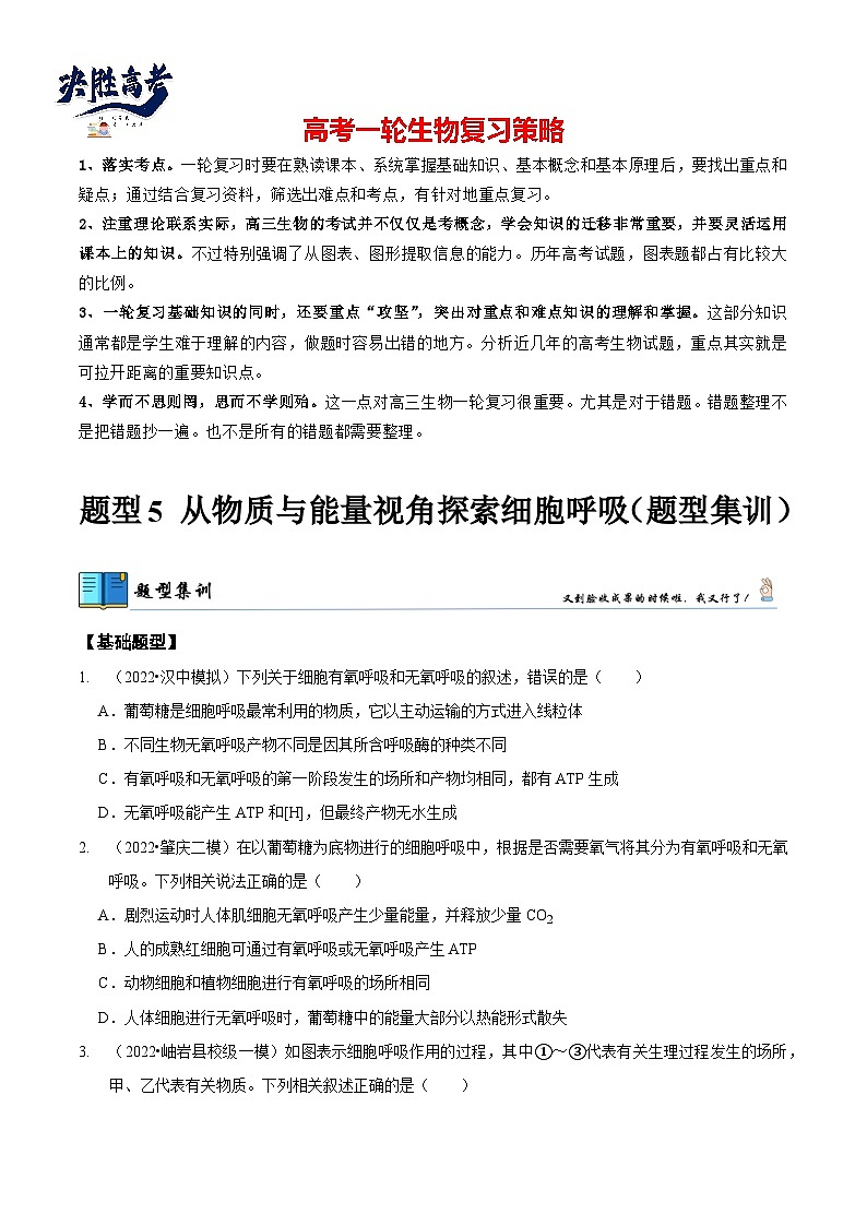 题型5 从物质与能量视角探索细胞呼吸（题型集训）（原卷版）第1页