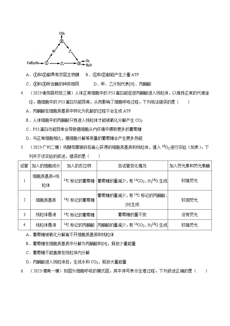 题型5 从物质与能量视角探索细胞呼吸（题型集训）（原卷版）第2页