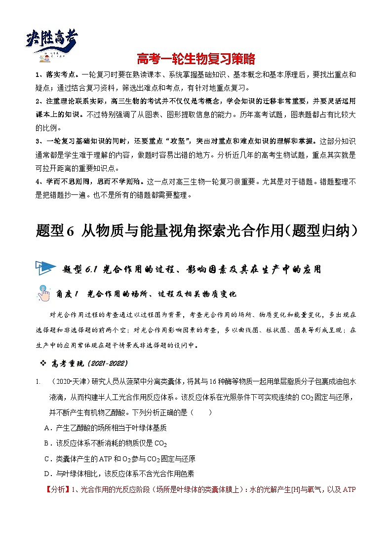 题型6 从物质与能量视角探索光合作用（题型归纳）（解析版）第1页