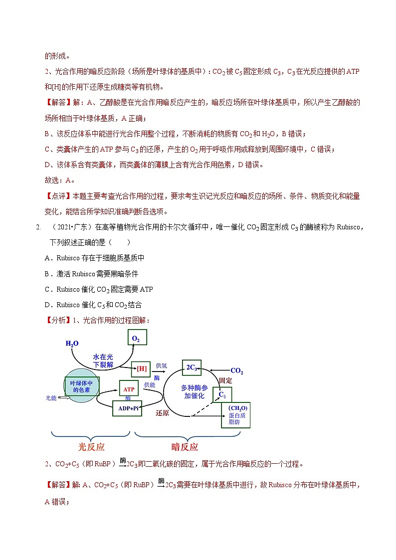 题型6 从物质与能量视角探索光合作用（题型归纳）（解析版）第2页