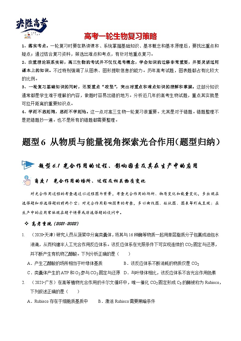 题型6 从物质与能量视角探索光合作用（题型归纳）（原卷版） 第1页