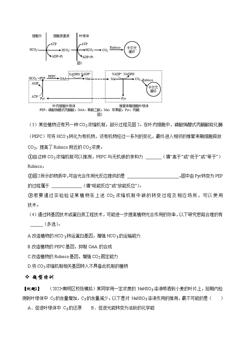 题型6 从物质与能量视角探索光合作用（题型归纳）（原卷版） 第3页