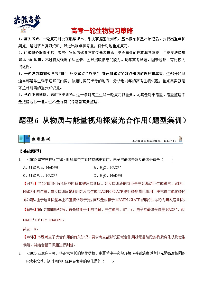 题型6 从物质与能量视角探索光合作用（题型集训）（解析版）第1页