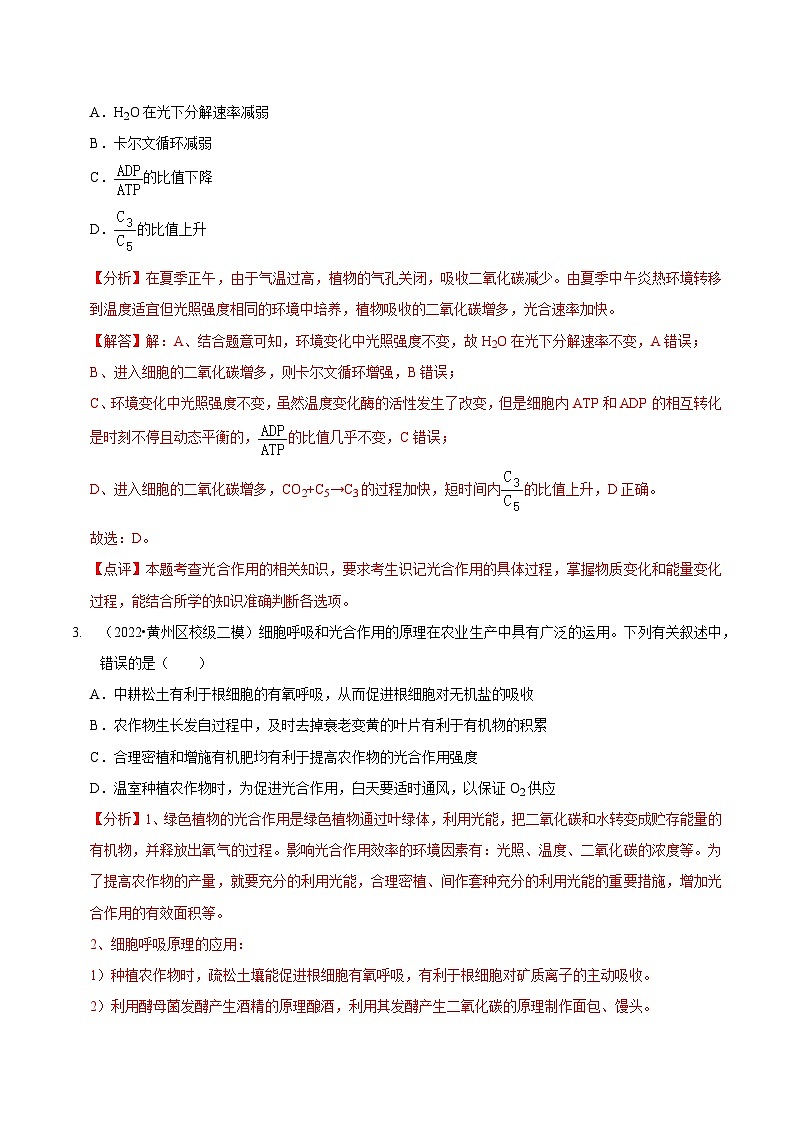 题型6 从物质与能量视角探索光合作用（题型集训）（解析版）第2页