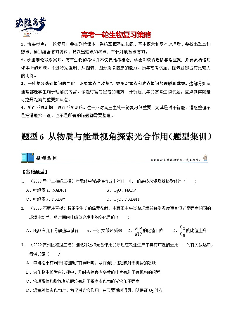 题型6 从物质与能量视角探索光合作用（题型集训）（原卷版）第1页