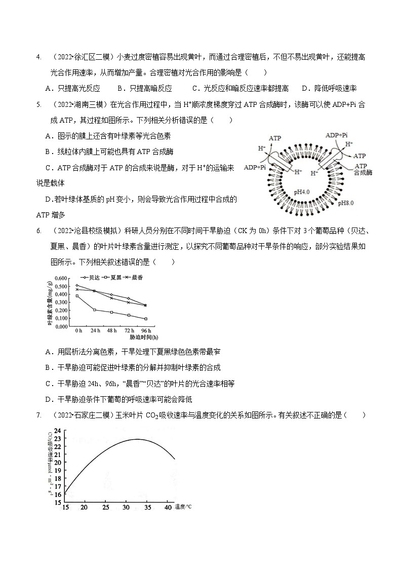 题型6 从物质与能量视角探索光合作用（题型集训）（原卷版）第2页