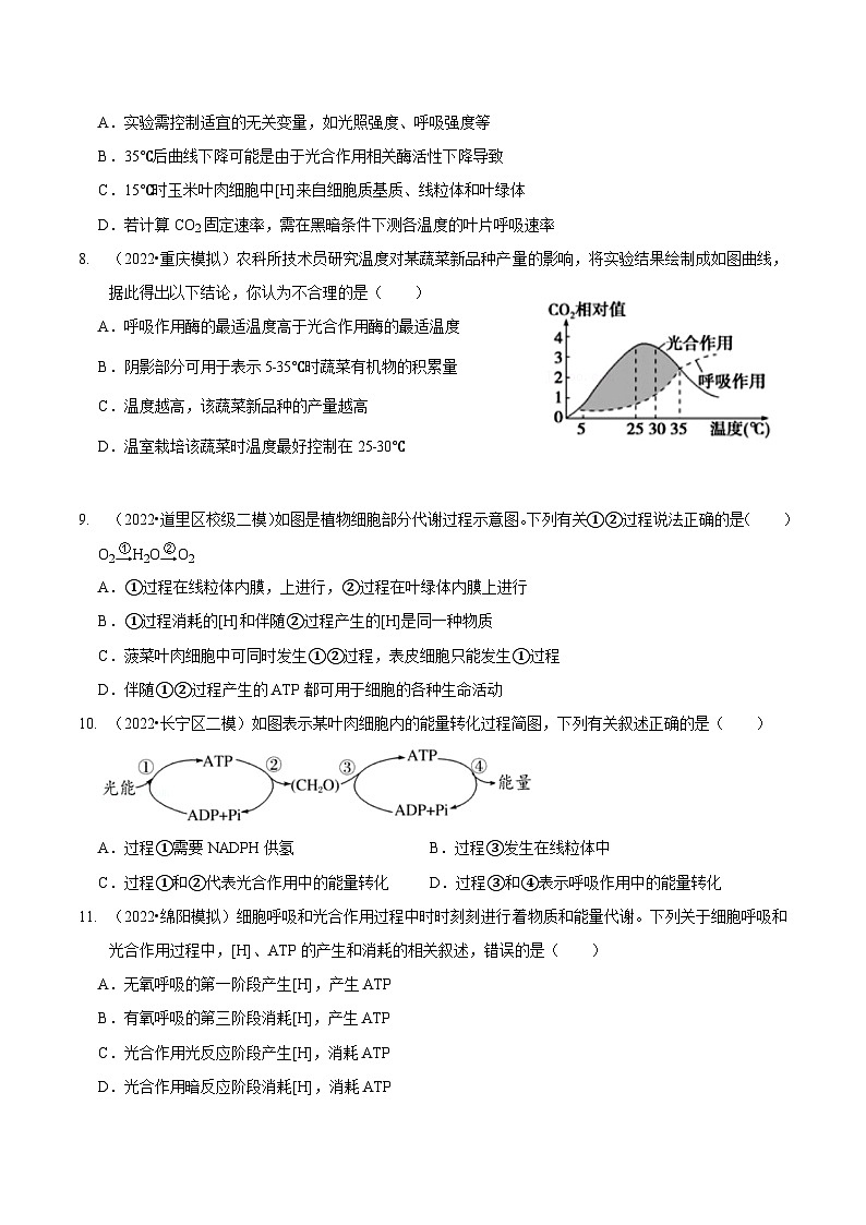 题型6 从物质与能量视角探索光合作用（题型集训）（原卷版）第3页