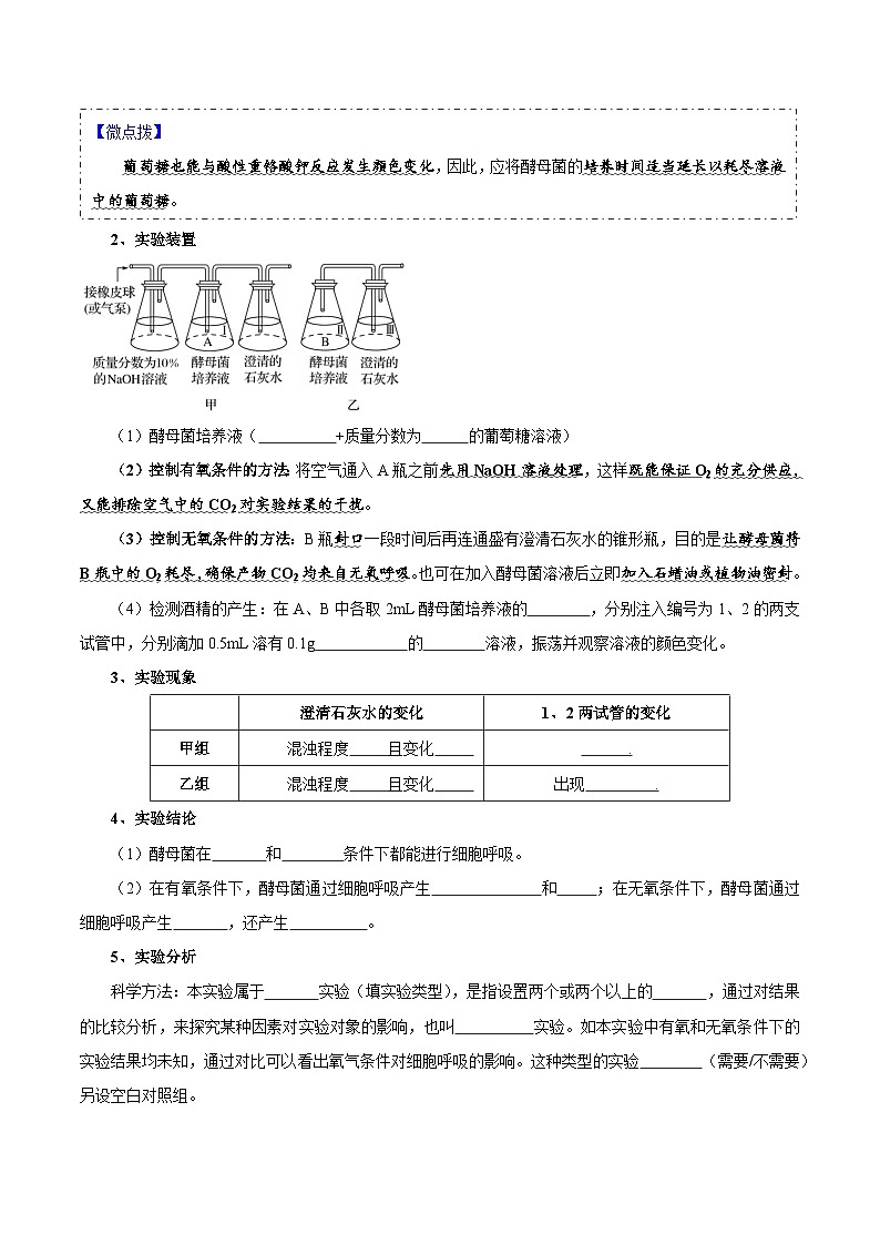 题型7 光合作用与细胞呼吸相关的实验探究（核心知识）（原卷版）第2页