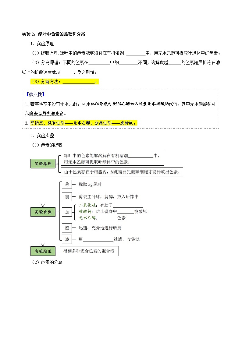 题型7 光合作用与细胞呼吸相关的实验探究（核心知识）（原卷版）第3页