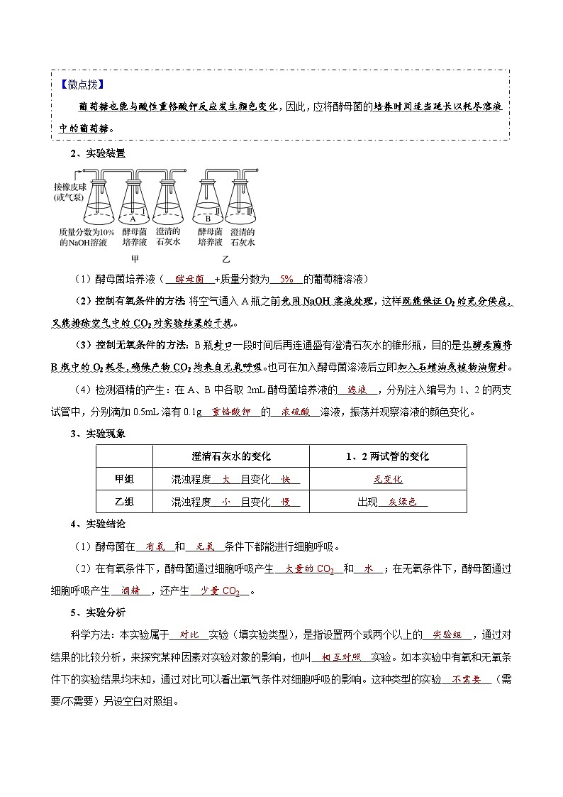 题型7 光合作用与细胞呼吸相关的实验探究（核心知识）（解析版）第2页