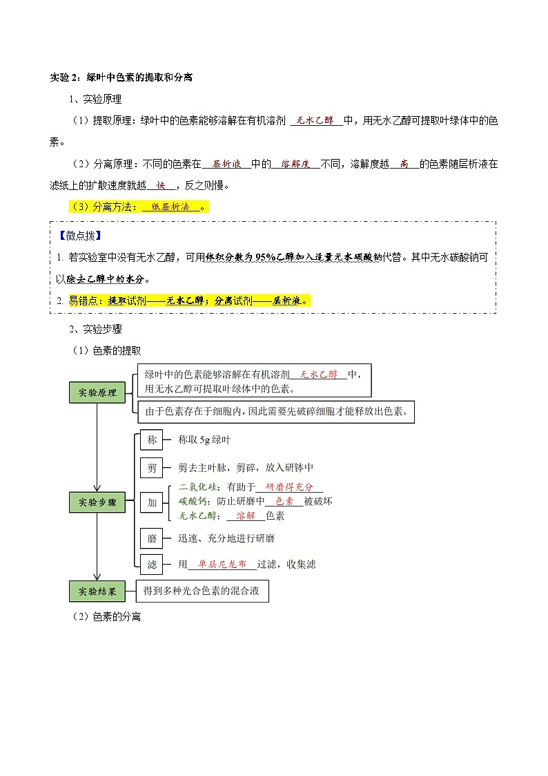题型7 光合作用与细胞呼吸相关的实验探究（核心知识）（解析版）第3页