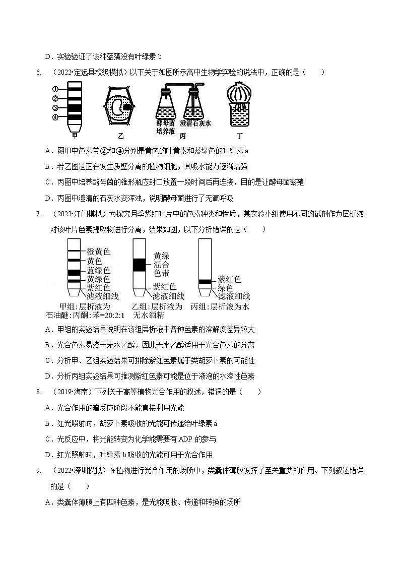 题型7 光合作用与细胞呼吸相关的实验探究（题型集训）（原卷版）第3页