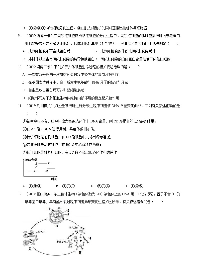 题型8 细胞生命历程的易错辨析（题型集训）（原卷版）第3页