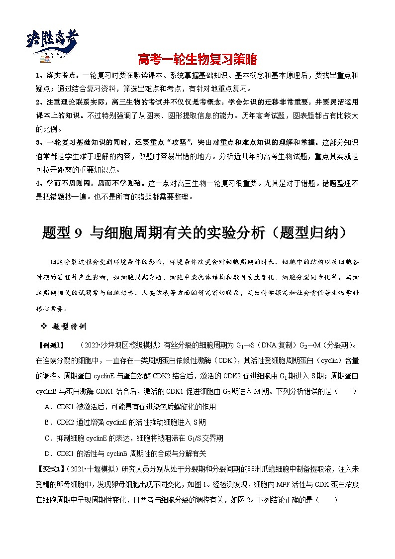题型9 与细胞周期有关的实验分析（题型归纳）（原卷版）第1页