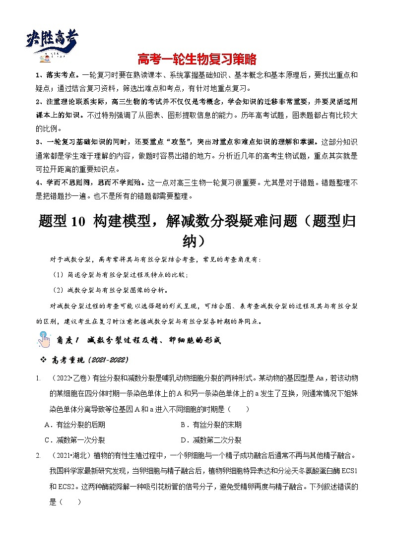 题型10 构建模型，解减数分裂疑难问题（题型归纳）（原卷版）第1页