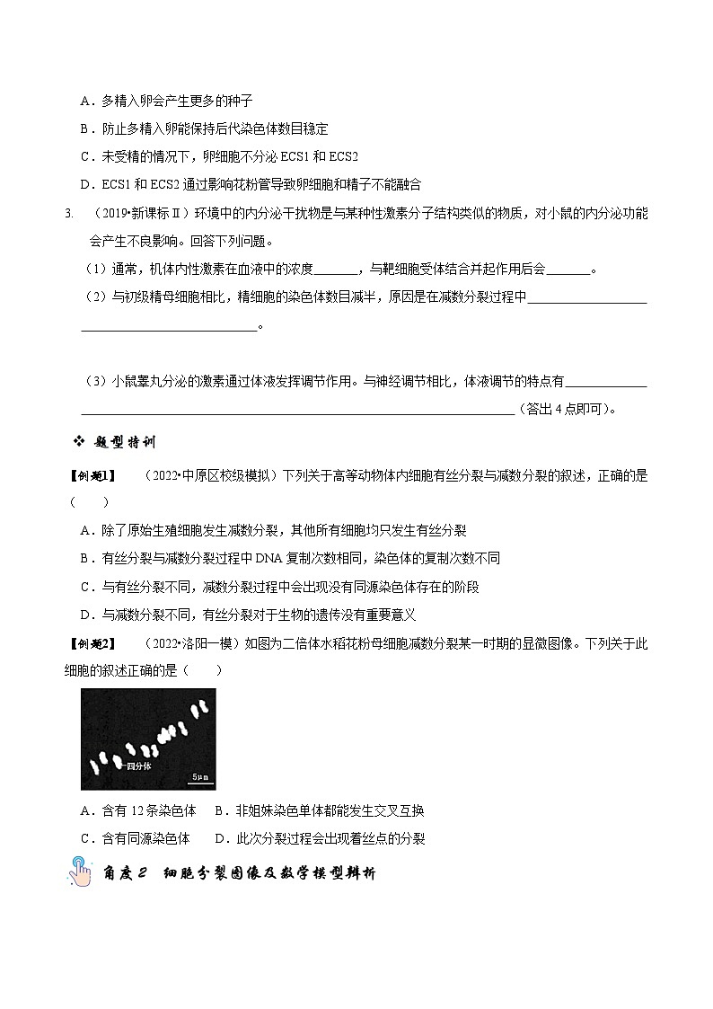 题型10 构建模型，解减数分裂疑难问题（题型归纳）（原卷版）第2页