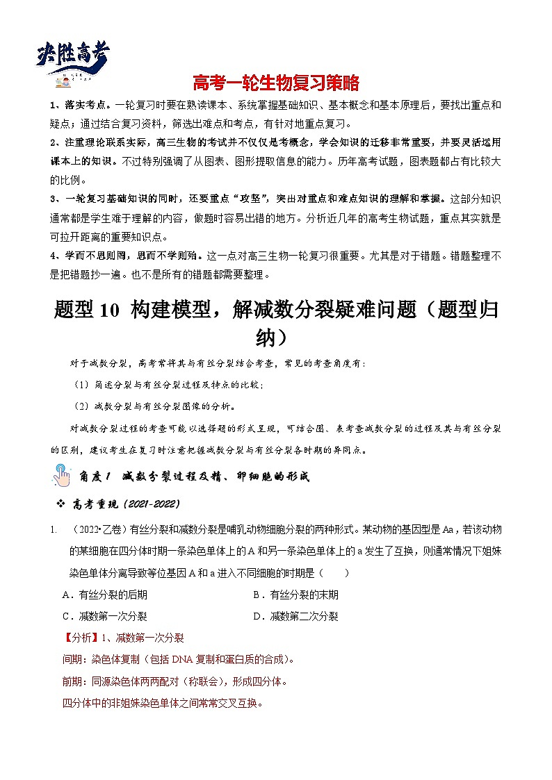 题型10 构建模型，解减数分裂疑难问题（题型归纳）（解析版）第1页
