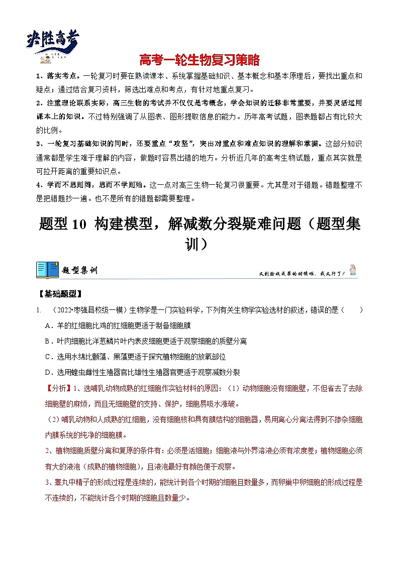 题型10 构建模型，解减数分裂疑难问题（题型集训）（解析版）第1页