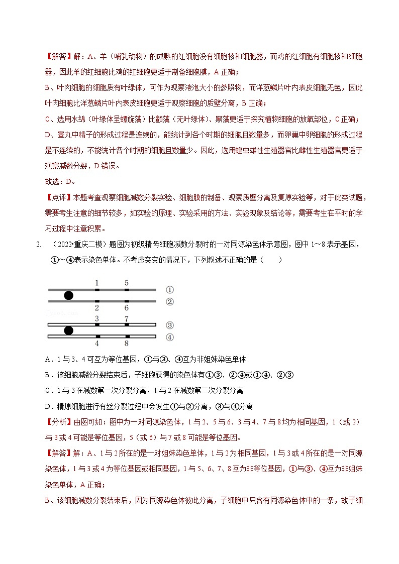 题型10 构建模型，解减数分裂疑难问题（题型集训）（解析版）第2页