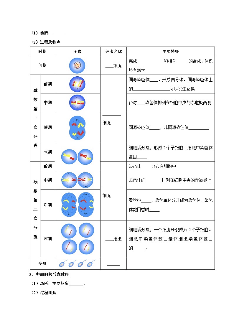 题型10 减数分裂，解减数分裂疑难问题（核心知识）（原卷版）第3页