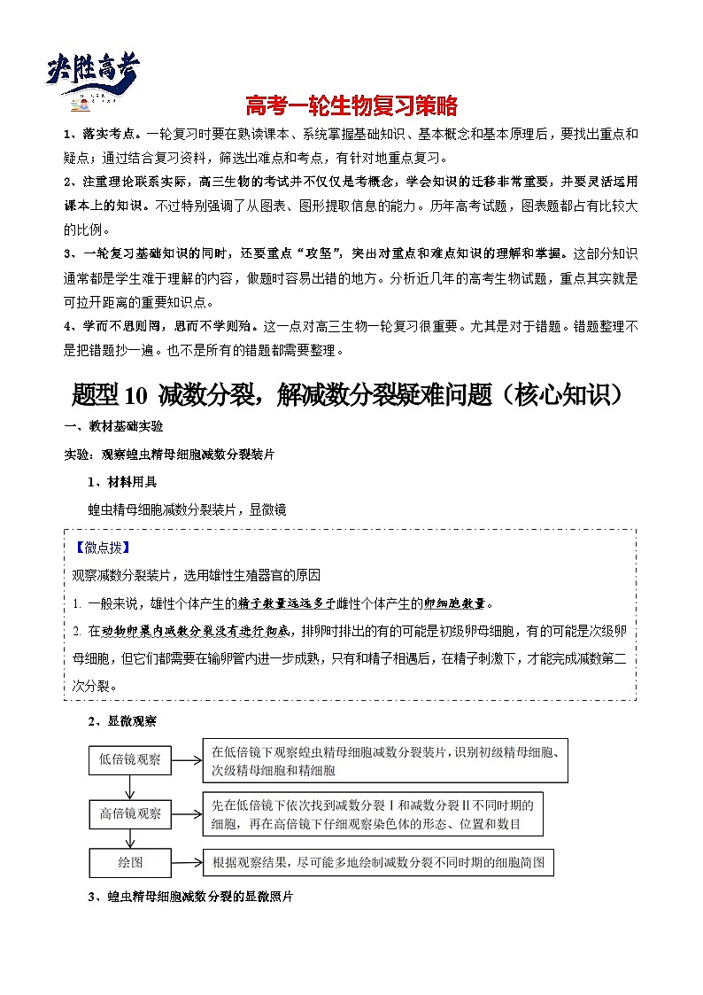 题型10 减数分裂，解减数分裂疑难问题（核心知识）（解析版）第1页
