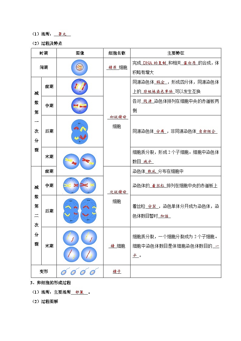 题型10 减数分裂，解减数分裂疑难问题（核心知识）（解析版）第3页