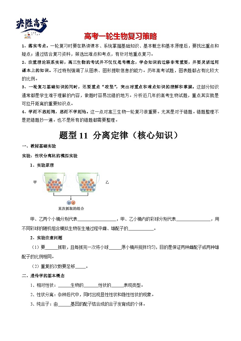 题型11 分离定律的易错题型和特殊遗传现象（核心知识）（原卷版）第1页