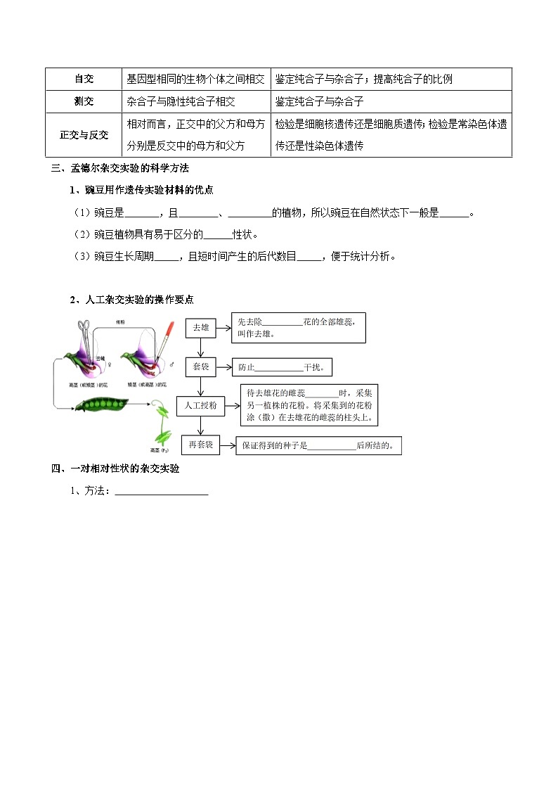题型11 分离定律的易错题型和特殊遗传现象（核心知识）（原卷版）第3页
