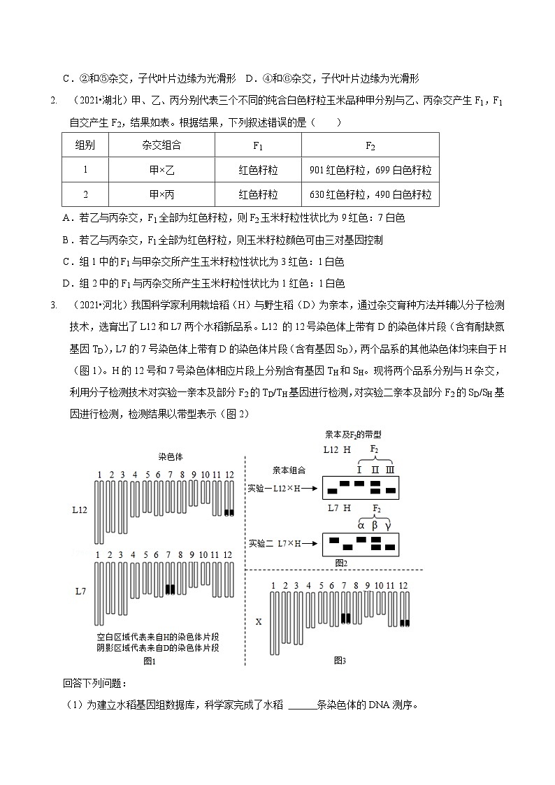 题型12 快速突破基因的自由组合定律（题型归纳）-【技巧点拨】备战2023年高考生物二轮题型复习讲解（原卷版）第2页