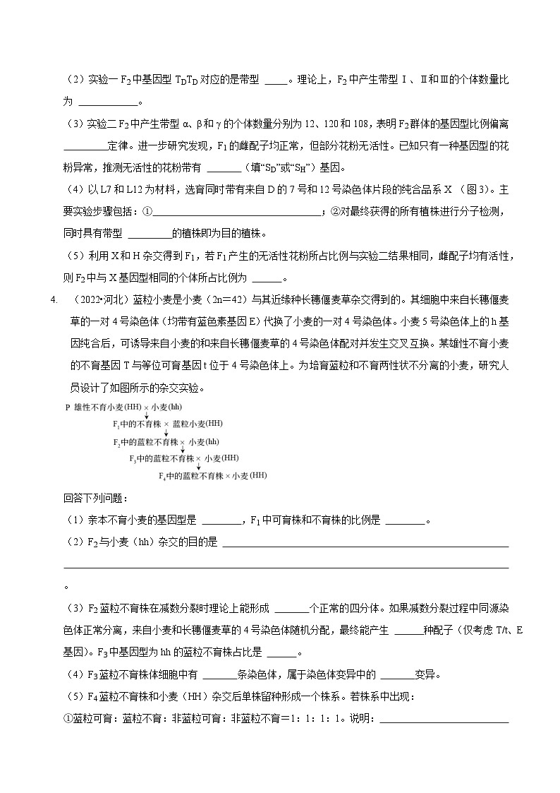题型12 快速突破基因的自由组合定律（题型归纳）-【技巧点拨】备战2023年高考生物二轮题型复习讲解（原卷版）第3页
