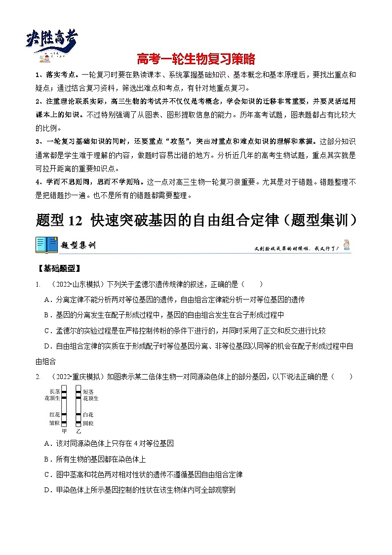 题型12 快速突破基因的自由组合定律（题型集训）-【技巧点拨】备战2023年高考生物二轮题型复习讲解（原卷版）第1页