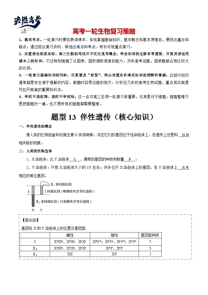 题型13 伴性遗传的经典题型（核心知识）（解析版） 第1页