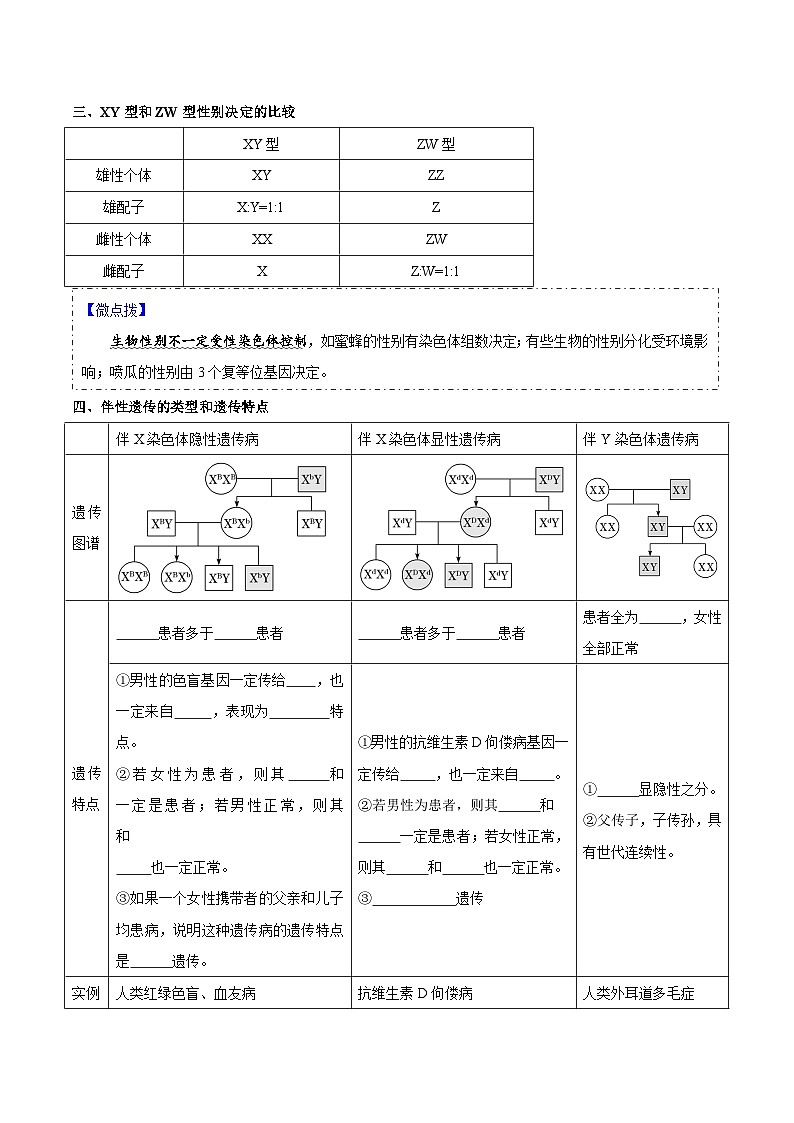 题型13 伴性遗传的经典题型（核心知识）（原卷版） 第2页