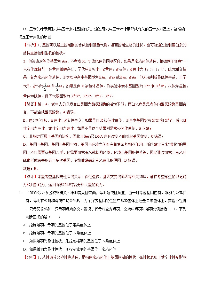 题型13 伴性遗传的经典题型（题型集训）（解析版） 第3页