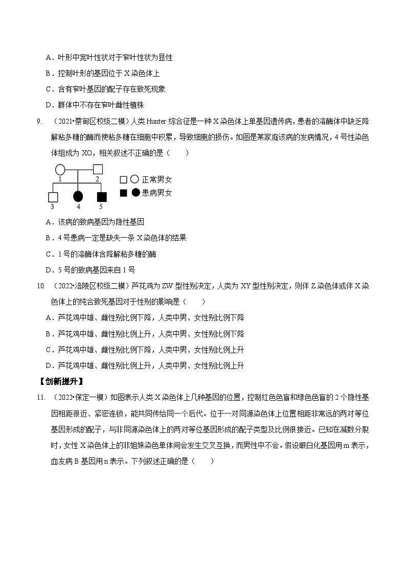 题型13 伴性遗传的经典题型（题型集训）（原卷版）第3页