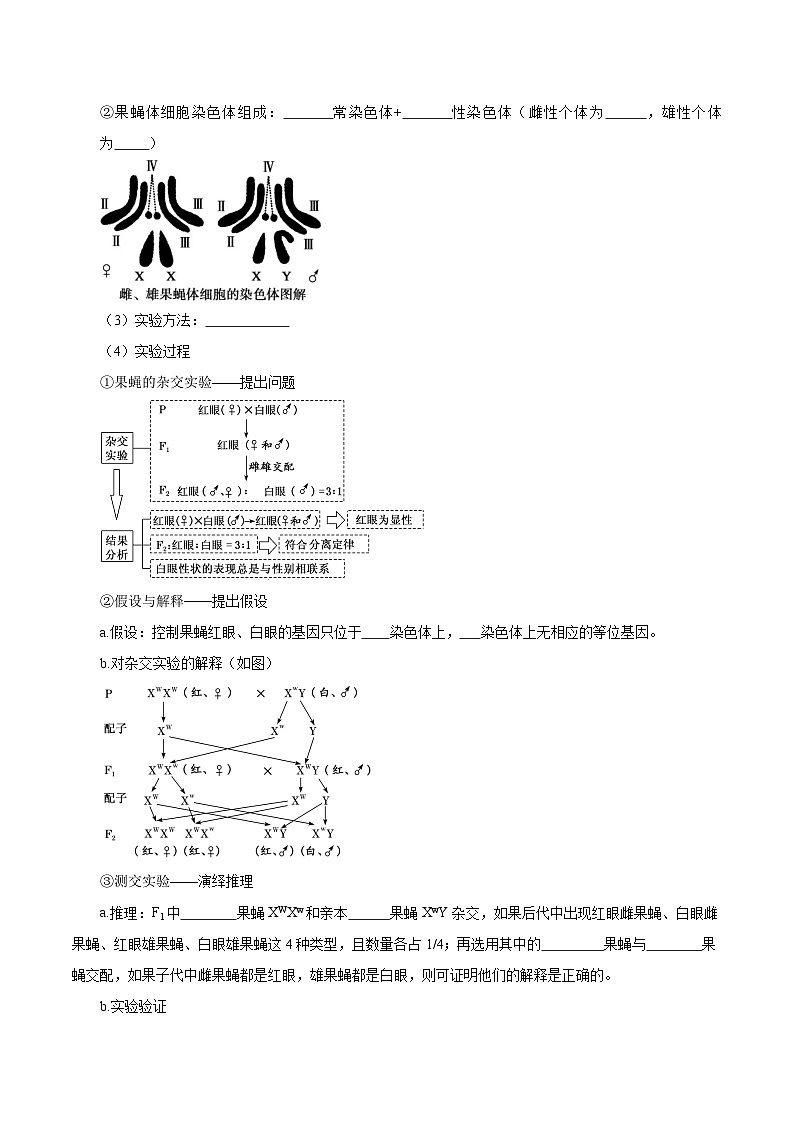 题型14 基因定位（知识点归纳）（原卷版）第2页