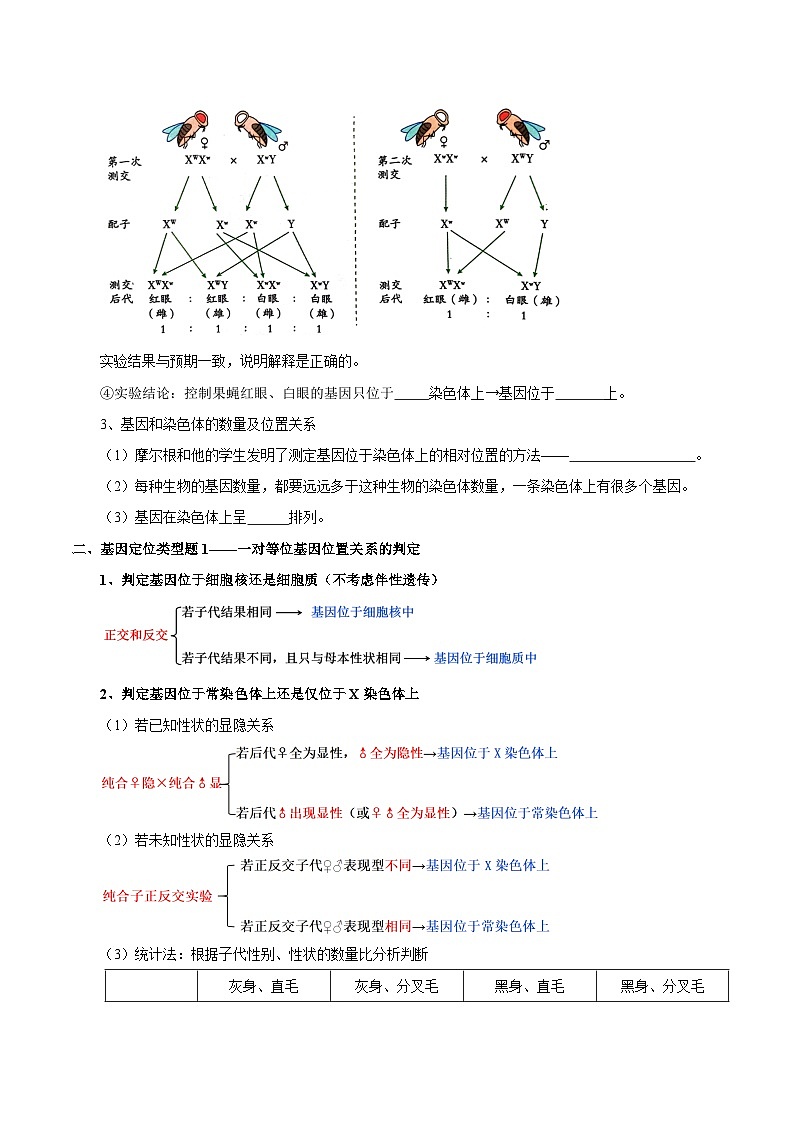 题型14 基因定位（知识点归纳）（原卷版）第3页