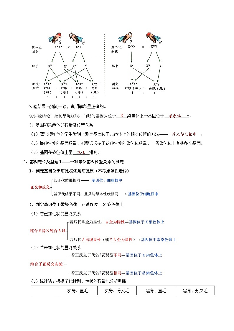 题型14 基因定位（知识点归纳）（解析版）第3页