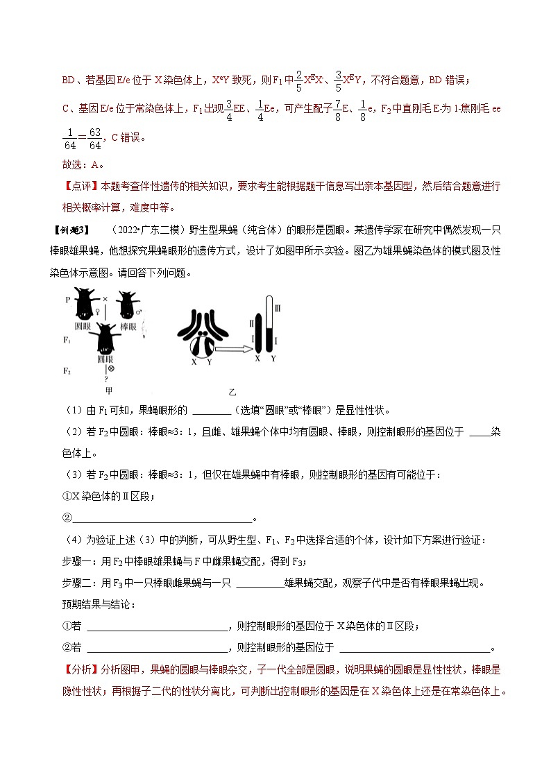 题型14 妙用假说-演绎法，化解基因定位难题（题型归纳）（解析版）第3页