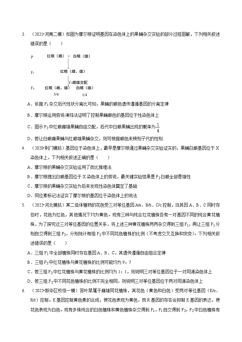 题型14 妙用假说-演绎法，化解基因定位难题（题型集训）（原卷版） 第2页