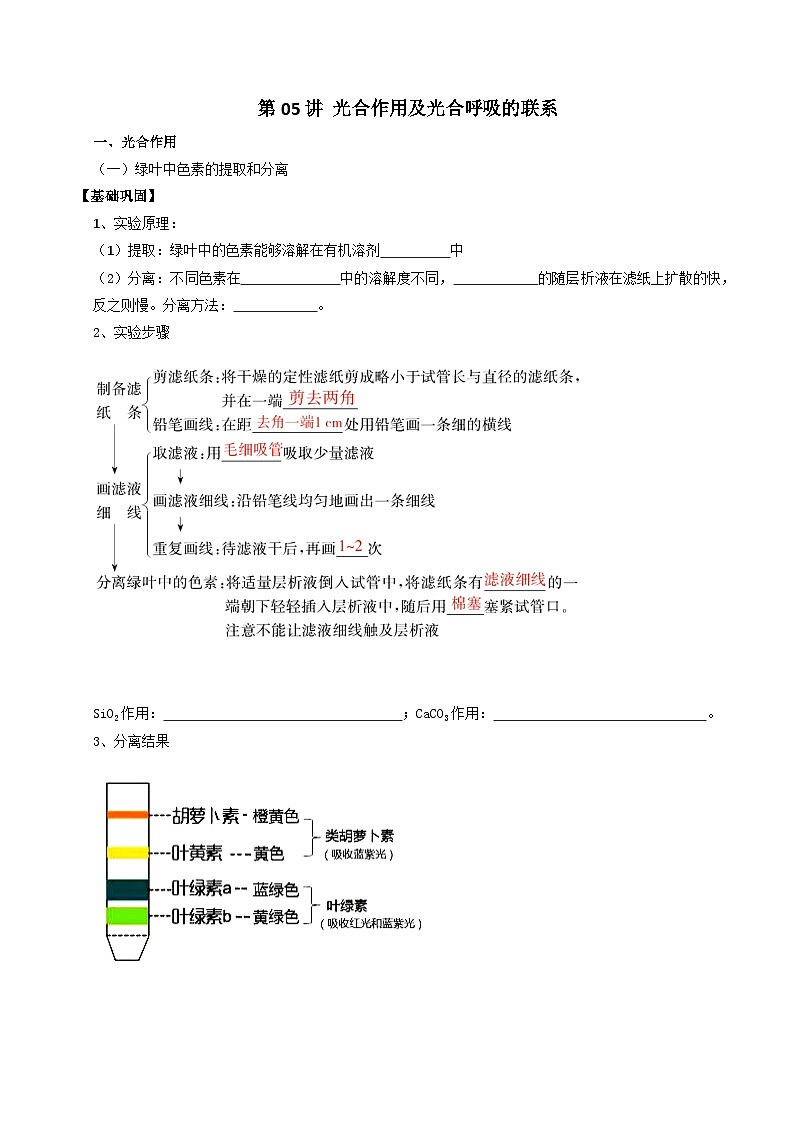 第05讲 光合作用及光合呼吸的联系（原卷版）第1页