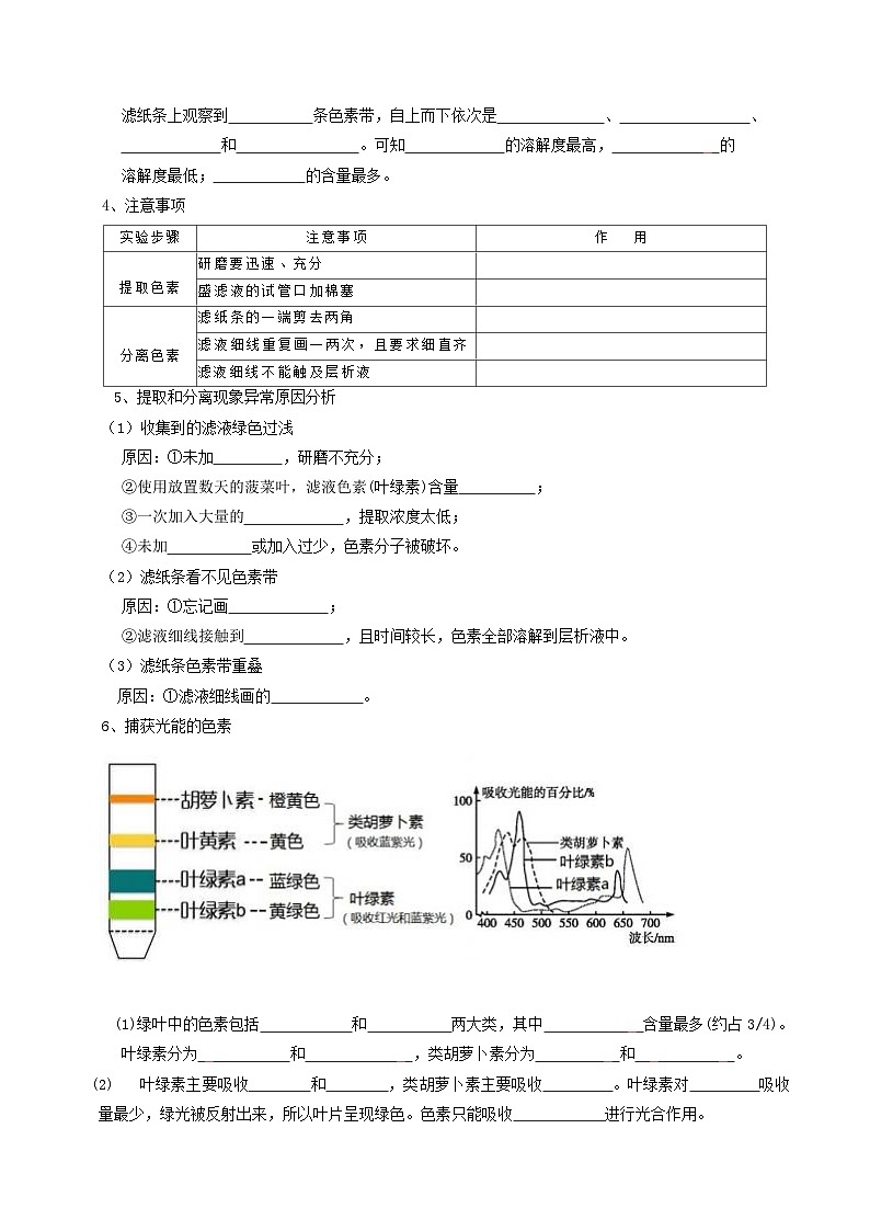 第05讲 光合作用及光合呼吸的联系（原卷版）第2页