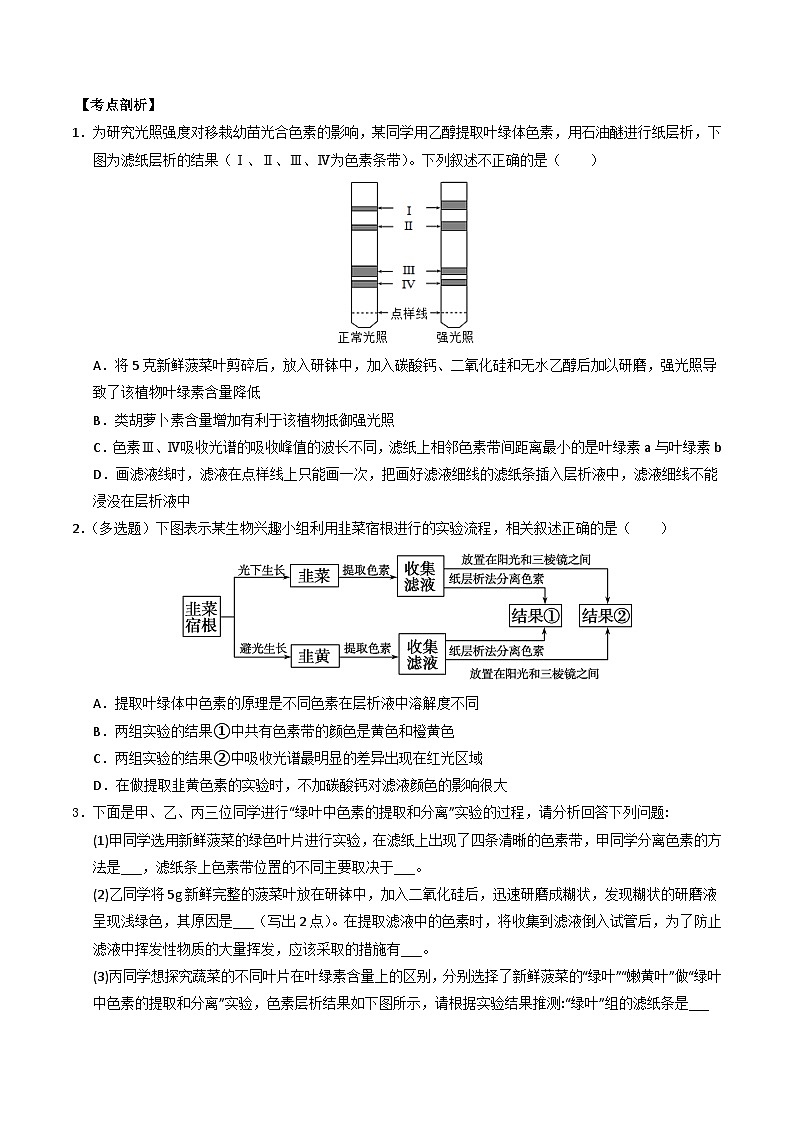 第05讲 光合作用及光合呼吸的联系（原卷版）第3页