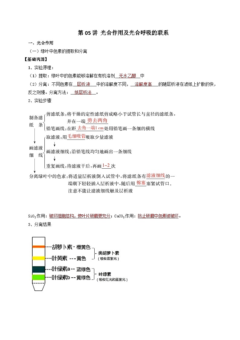 第05讲 光合作用及光合呼吸的联系（解析版）第1页