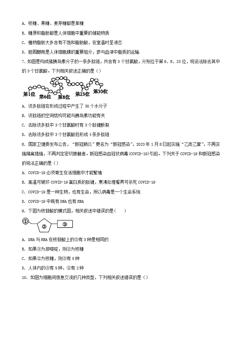 云南省大理州2023_2024学年高一生物上学期12月月考试题含解析第2页