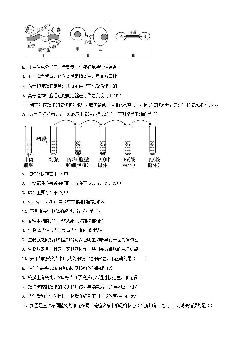 云南省大理州2023_2024学年高一生物上学期12月月考试题含解析第3页