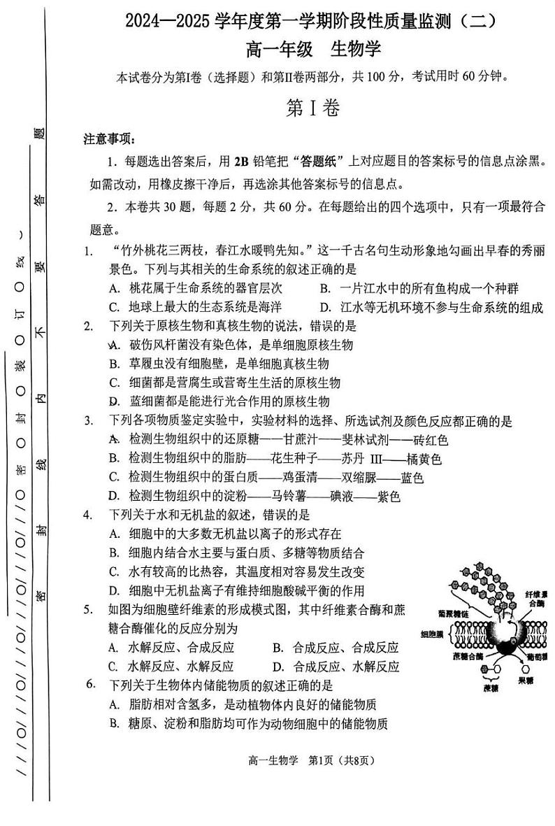 天津市南开区2024-2025学年高一上学期期末生物试卷第1页