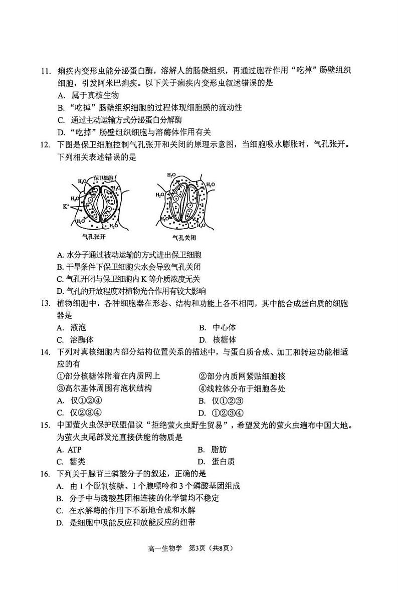 天津市南开区2024-2025学年高一上学期期末生物试卷第3页