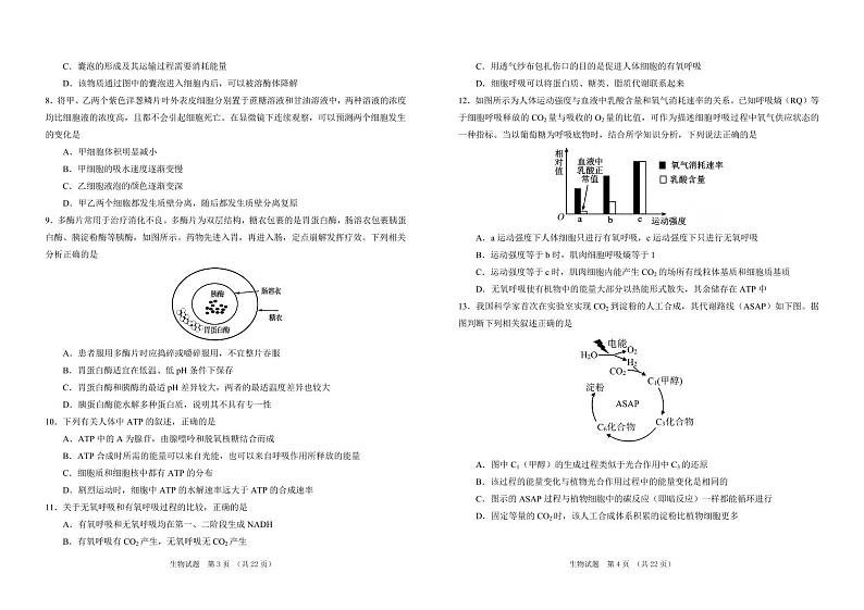 吉林省普通高中G8教考联盟2024-2025学年高一上学期期末考试 生物试卷（含答案）第2页