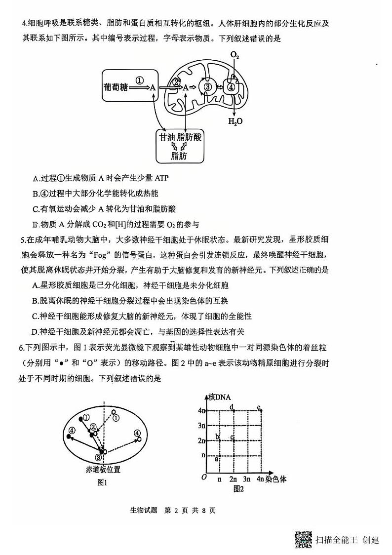 2024-2025年度陕西省渭南高三生物一模考试试题第2页